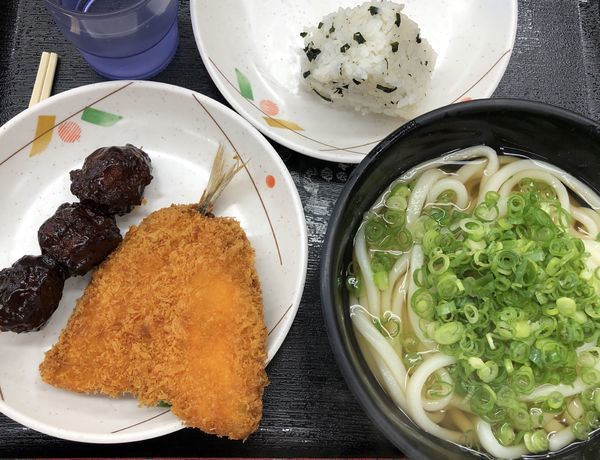 「かけうどん」@あなぶき家 津田の松原サービスエリア(下り線)店の写真