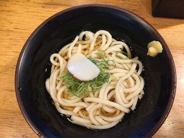 「冷かけうどん¥280」@麺家 京都下がも店の写真