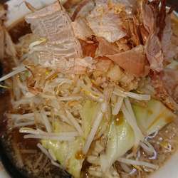 麺少なめ、野菜まし、ニンニクなし