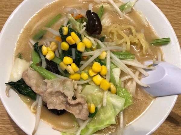 「野菜ちゃんぽん734円」@丸源ラーメン 成田店の写真