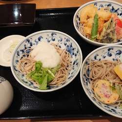 築地藪そば 伊勢丹相模原店の画像