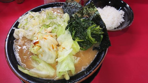「中盛ラーメン(780円)キャベツ(100円)薬味ネギ(50円」@家系ラーメン とらきち家の写真