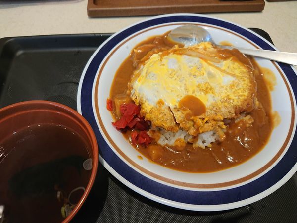 「カレーかつ丼（スープ付） 570円」@名代 富士そば 志木店の写真