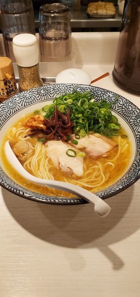 「濃厚鶏白湯そば(白) 780円 + 九条ネギ100円」@濃厚京鶏白湯 めんや美鶴の写真