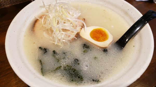 「白ラーメン　780円」@コイキヤホンポの写真