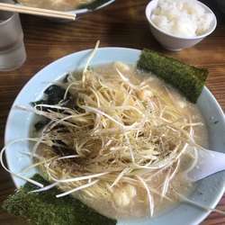 ネギラーメン並