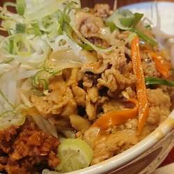 富士の豚カレー