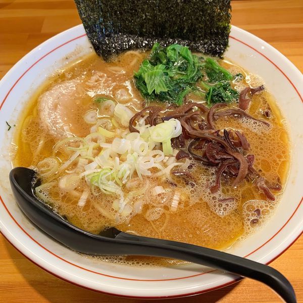 「ラーメン並盛」@とんこつ らい斗の写真