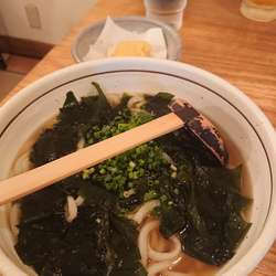 わかめうどん