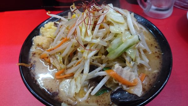 「味噌タンメン白」@濃厚タンメン かめしげの写真