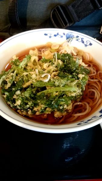 「春菊天そば（４７０円）」@越後そば 北野店の写真