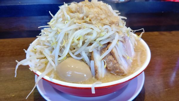 「ラーメン中３００g野菜&脂マシ880円」@らーめん男盛の写真