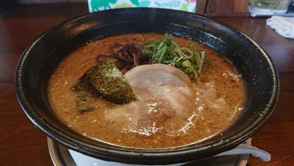 「豚骨醤油らーめん」@二十四代目 哲麺 大田原店の写真