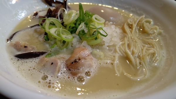 「コク濃しら川ラーメン」@水炊き鍋 鶏白湯しら川 麹町店の写真
