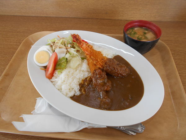 「エビフライカレー」@ごはん亭 はしもとの写真