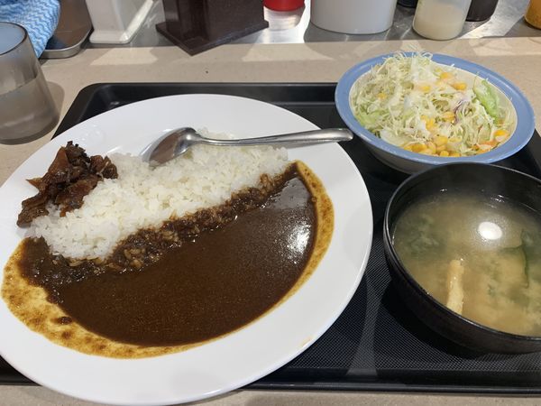 「オリジナルカレー390+生野菜110=500円」@松屋 明大前店の写真