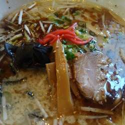 焦がし豚骨らーめん