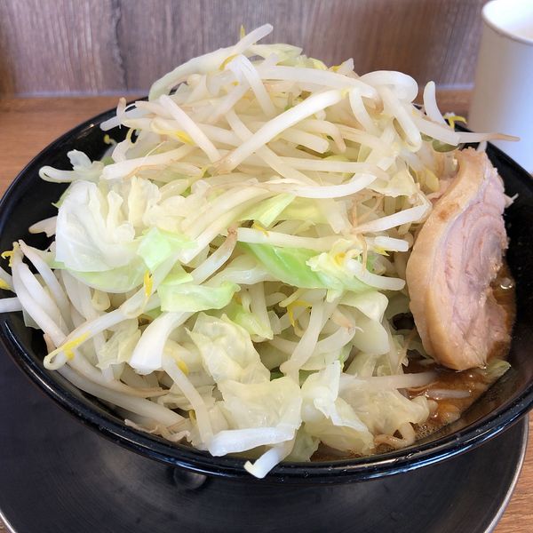 「味噌ラーメン並(780円)ヤサイニンニク」@ジャンクガレッジ 東大宮店の写真