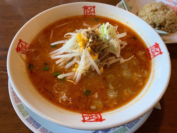 「辛味噌ラーメン」@おおぎやラーメン 鬼怒川店の写真
