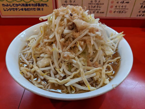 「らーめん(豚2枚・野菜にんにくあぶら)」@麺屋 桐龍の写真
