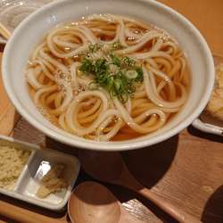 親子うどん