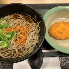 松乃家 新秋津店の画像