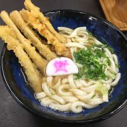 ゴボ天うどん¥430