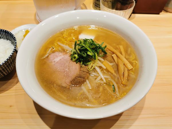 「塩ラーメン＋小ライス」@三ん寅の写真