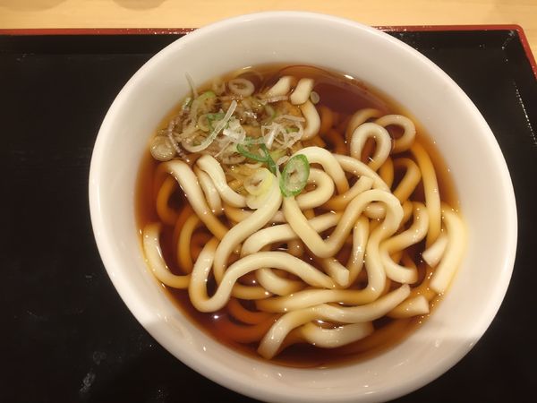 「かけうどん¥320」@いろり庵きらく 大宮店の写真