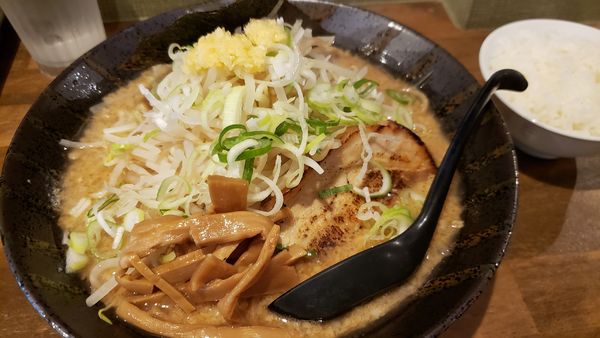 「東京豚骨醤油らーめん」@麺食道 孝作の写真