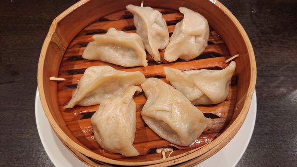 「蒸餃子　５５０円＋消費税」@餃子の店 大陸の写真