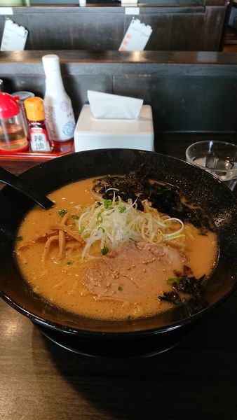 「とんこつ醤油ラーメン(770円) 大盛(150円)」@麺ひろの写真