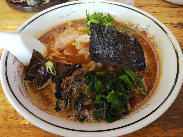 「【限定】並木」@ハルピンラーメン 本店の写真