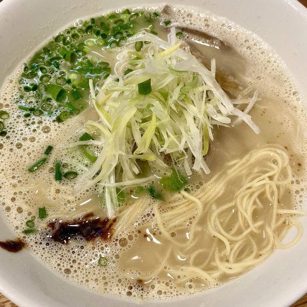 「鶏白湯塩らあめん」@らーめんや なかじゅう亭 高崎市通町本店の写真