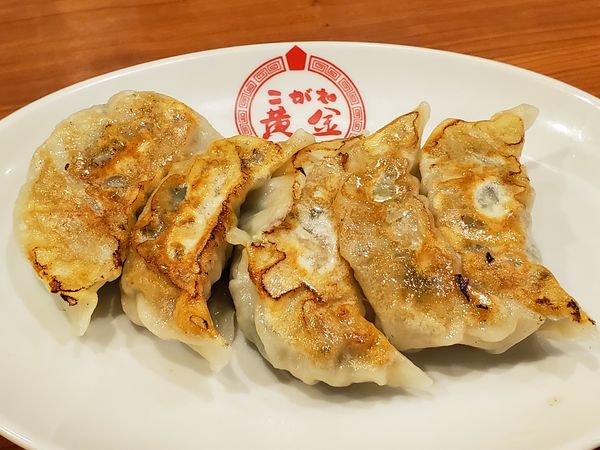 「煎餃」@ラーメン黄金 伊勢佐木モール店の写真