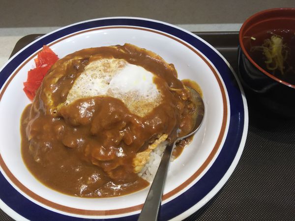 「カレーかつ丼 スープ付￥580」@名代 富士そば 藤沢店の写真