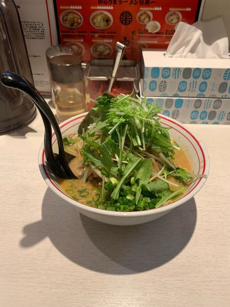 「菜華　830円」@蒙古タンメン 中本 新宿店の写真