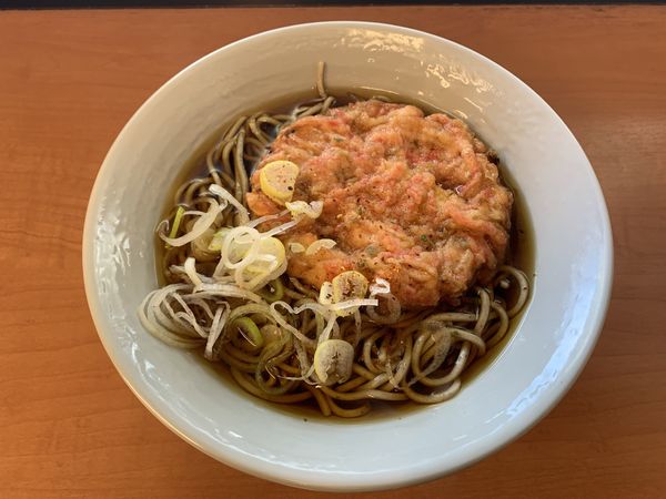 「いかと紅しょうがのかき揚げそば 480円」@濱そば 新横浜店の写真