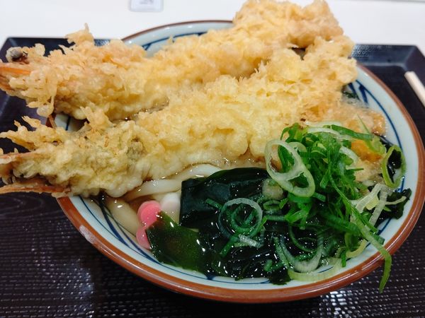 「大海老天うどん(並盛)690円」@丸亀製麺 イーサイト高崎店の写真
