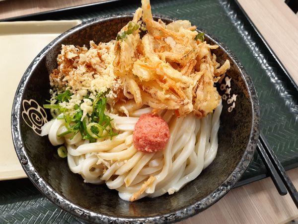 「明太子ぶっかけうどん、大盛、野菜かき揚げ」@はなまるうどん 多摩センター店の写真