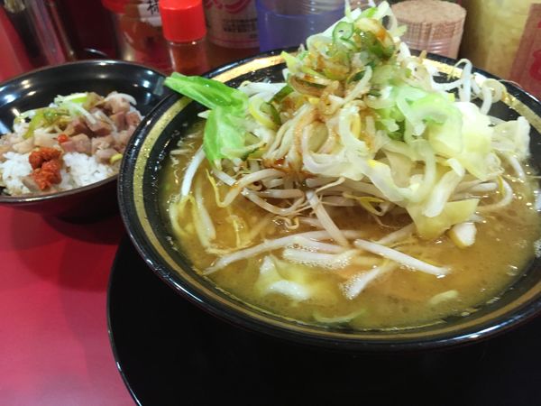「野菜ラーメン＋半賄い飯」@家系ラーメン とらきち家の写真