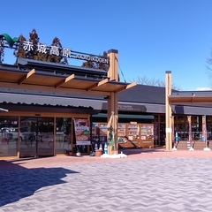 らー麺 畑の画像