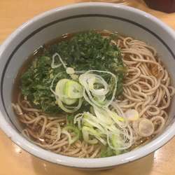 春菊天そば・大盛（￥480・大盛無料）