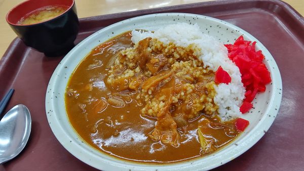 「カレーライス」@青海食堂の写真