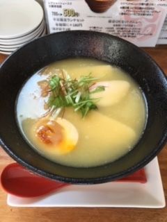 「鶏白湯麺」@麺屋 美鶏の写真