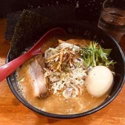 味噌ラーメン　豚鶏白湯×15種類のスパイス ×手揉み太麺