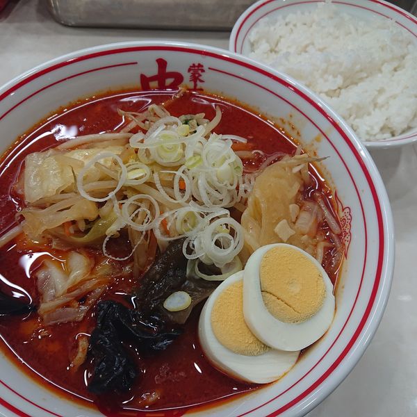 「北極やさい950円、小ライス120円」@蒙古タンメン 中本 千葉店の写真