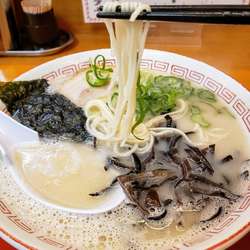 ラーメンセット（ラーメン + 半焼き飯）