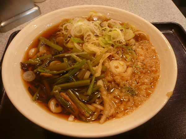 「山菜うどん」@そば処 かめや 新橋店の写真