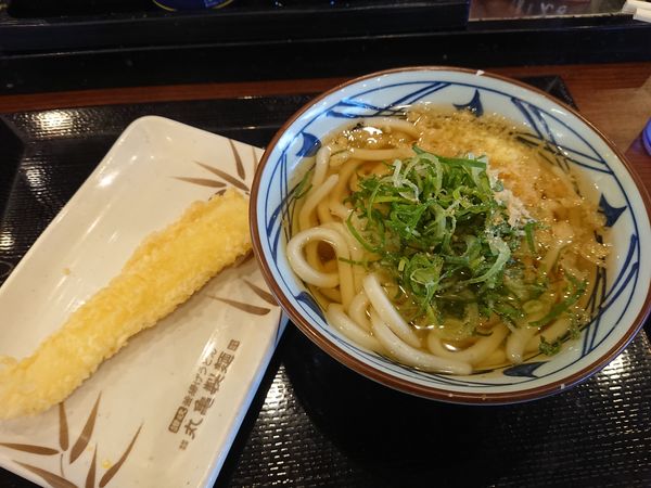 「かけ(並)300円＋いか天130円」@丸亀製麺 新座店の写真
